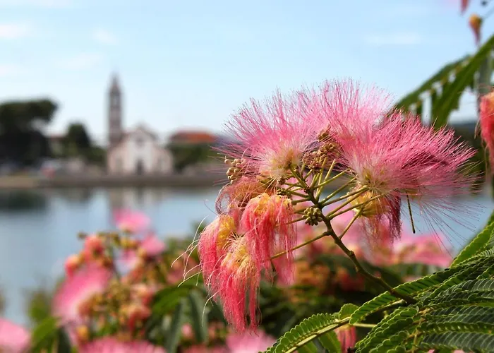 아파트 By The Sea - 8221 *