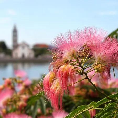 Apartmán By The Sea - 8221 *